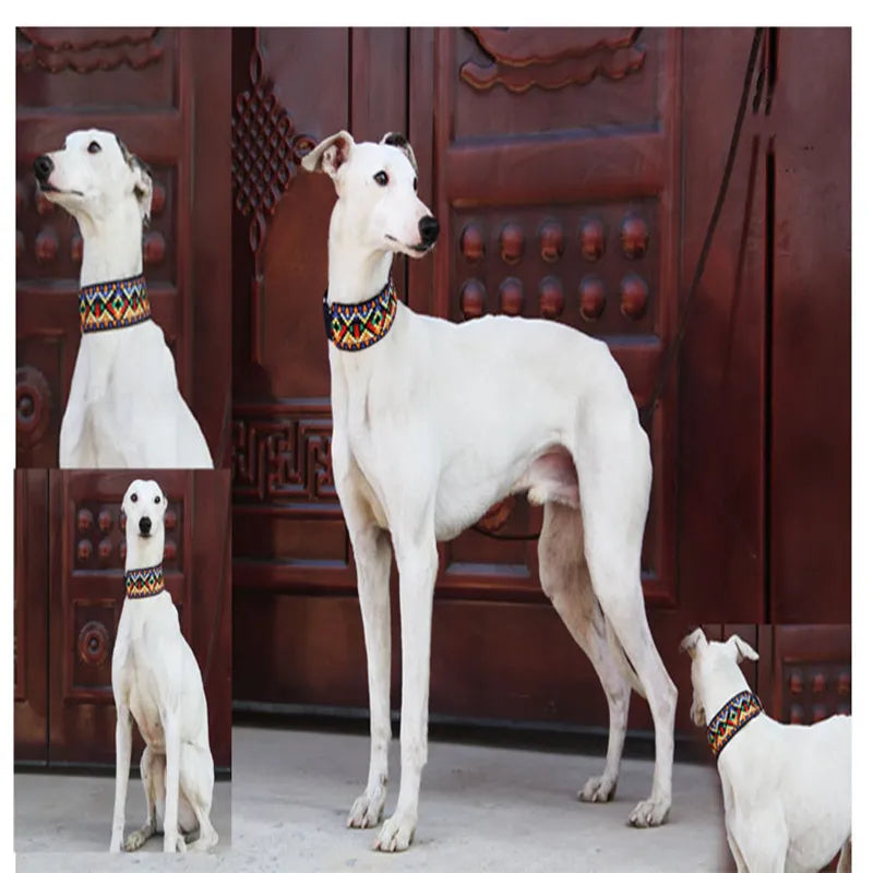 Dog Collar for Whippets Greyhounds Sheepskin Breathable Dog Collar Retro Italian Greyhound Collar Wide Leather Whippet Collar