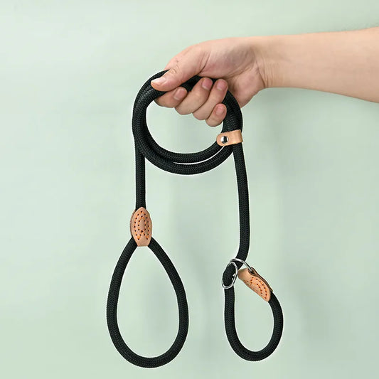 Dog Puppy Leash Adjustable Ring Collar Pet Training Leash for Medium Large Dog Slide Rope Lead Leash Braided Rope Dog Collars