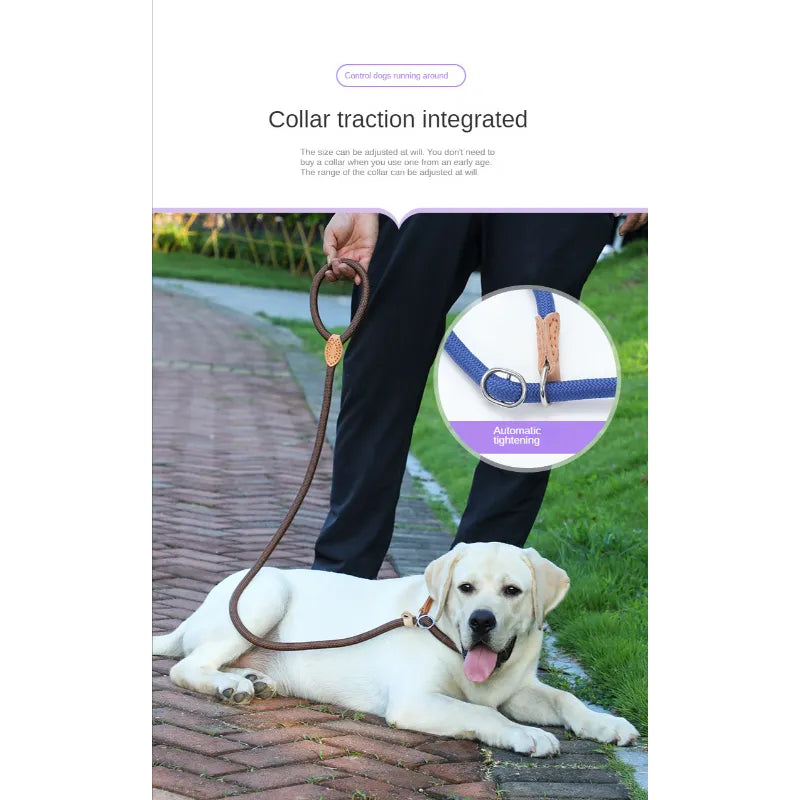 Dog Puppy Leash Adjustable Ring Collar Pet Training Leash for Medium Large Dog Slide Rope Lead Leash Braided Rope Dog Collars