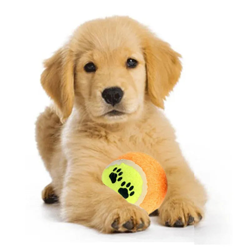 Tennis Dog Balls Dog Toys Run Fetch Throw Play Pet Puppy Toys For Dog's Training Pet Supplies 1pc
