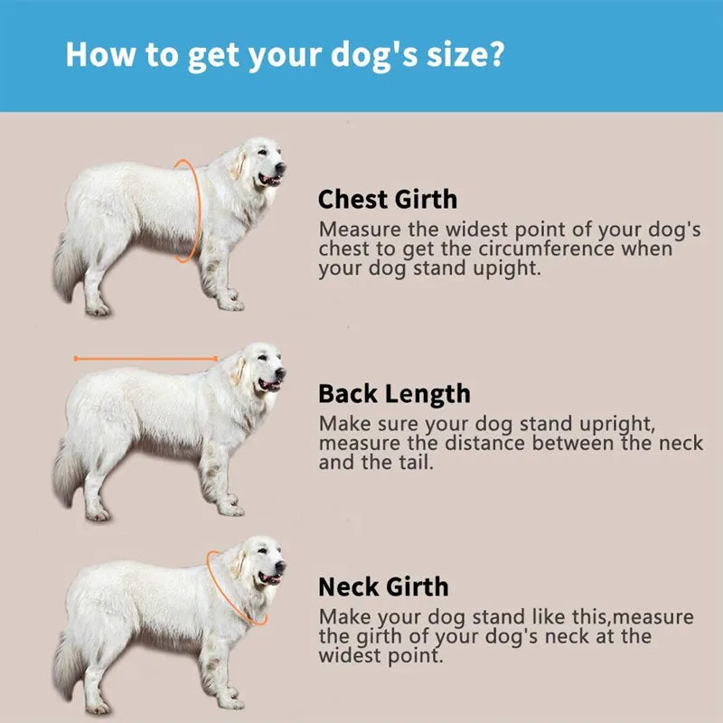 Lifeguard Dog Life Jacket - Ultimate Water Safety for Your Pet
