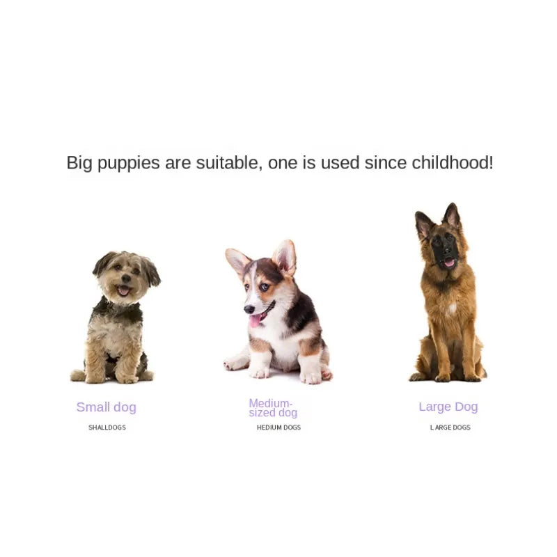 Dog Puppy Leash Adjustable Ring Collar Pet Training Leash for Medium Large Dog Slide Rope Lead Leash Braided Rope Dog Collars